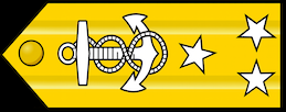 Vice Admiral